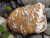 Hellbrauner Stein mit dichten weißen Anteilen